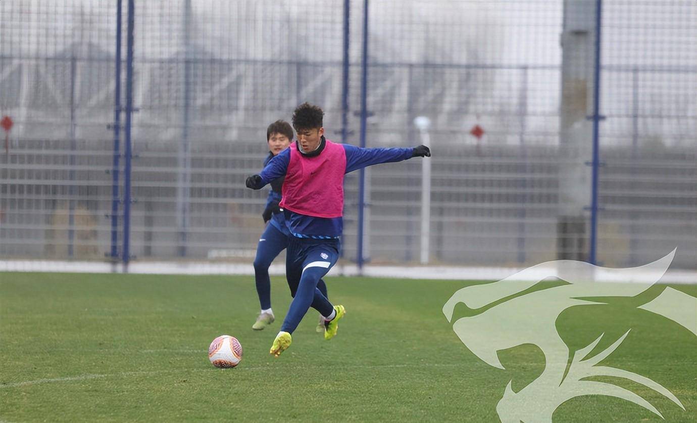 武汉三镇迎全明星赛关键赛，窗口期再遭质疑，引发热议，纪律约束更严格的简单介绍-爱游戏体育app下载